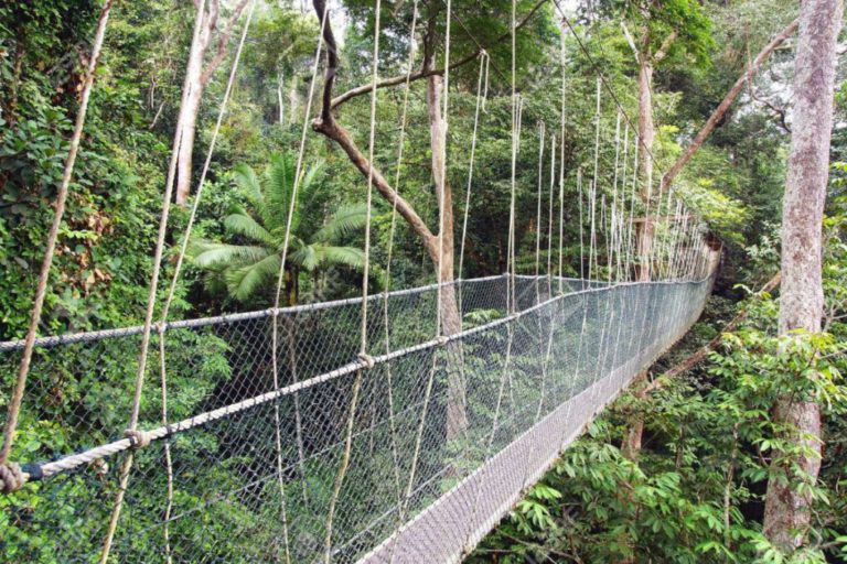 National Park (Taman Negara)